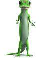 геккон Geico
